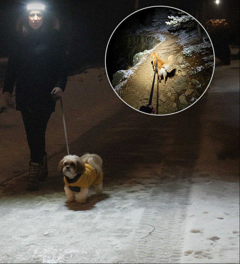 Ditehome Pannlampa PRO+